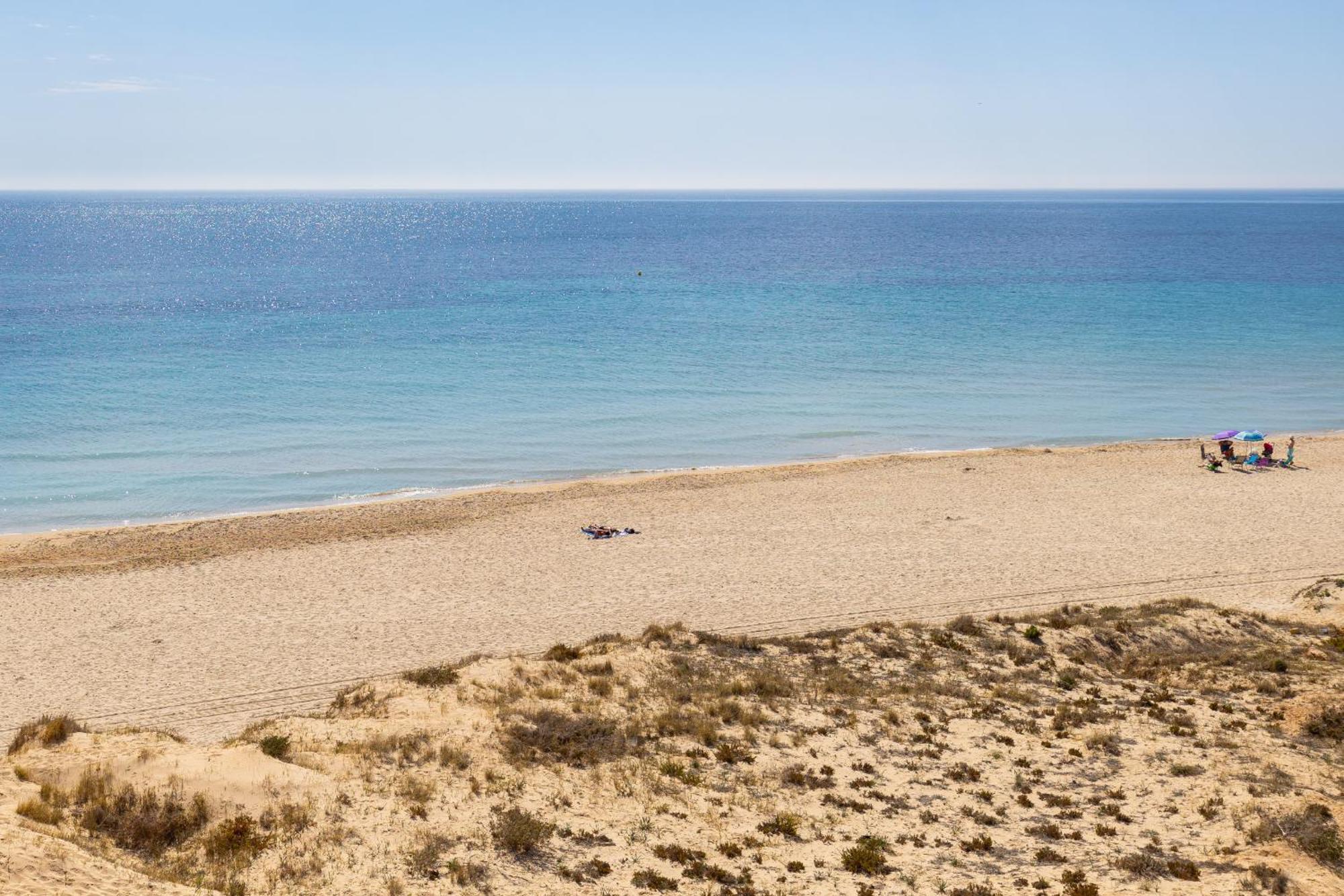 Paradise Palms By Fidalsa Dehesa de Campoamor  المظهر الخارجي الصورة